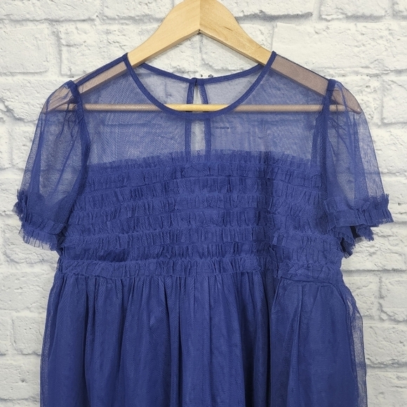 Anthropologie Ruffled Tulle Mini Dress - Picture 5 of 8